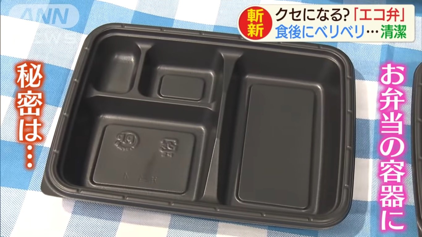 Disposable Bento Boxes
