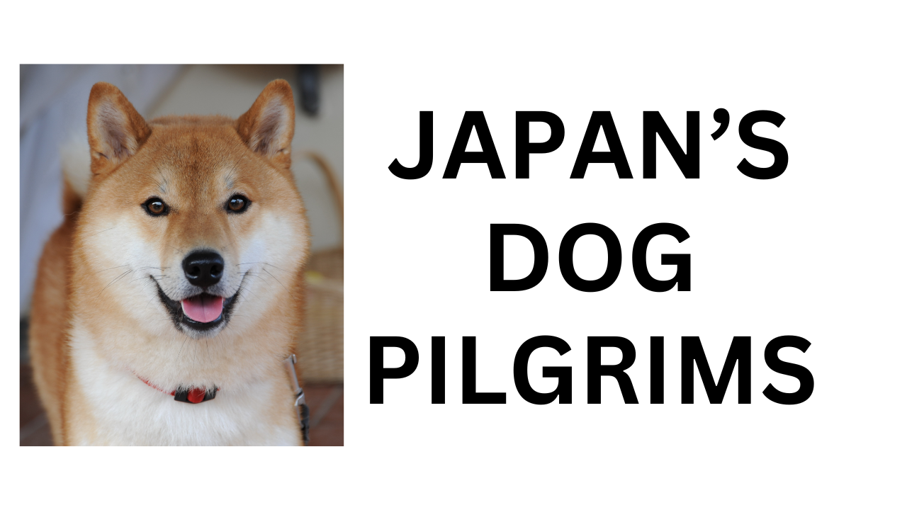 Japan's UNBELIEVABLE DOG Pilgrimages | Japan Station 131 - JapanKyo ...